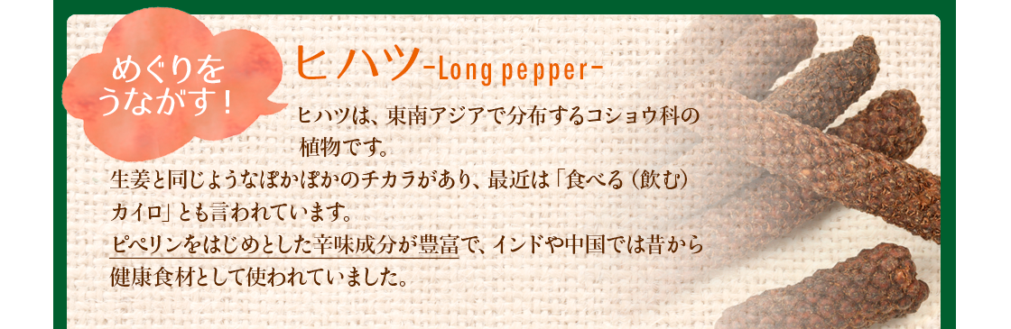 めぐりをうながす ヒハツ。ピペリンをはじめとした辛味成分が豊富